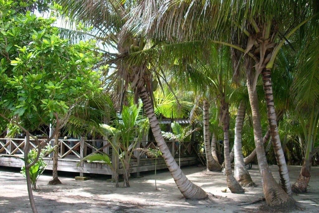 Long Caye Residence