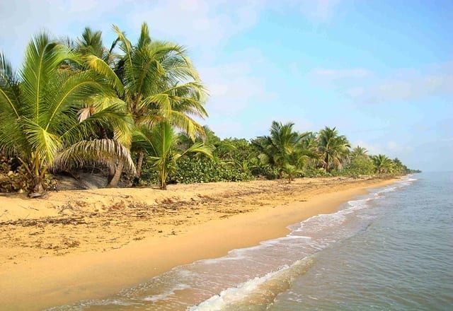 Miles of natural, high-sand Caribbean beaches.